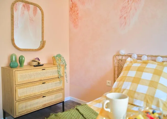 Apartamento Buranoroom Jacuzzi De Gamme Parkingfree Mulhouse